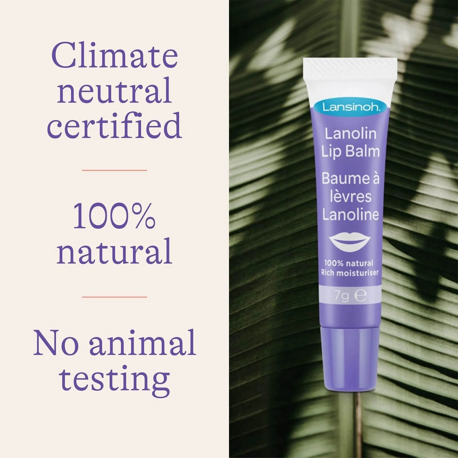 Lansinoh Lanolin Lip Balm 7g