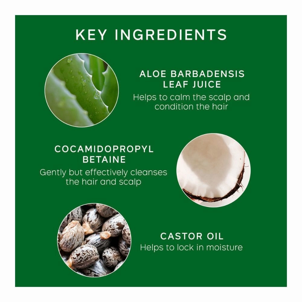Philip Kingsley Flaky Scalp Shampoo