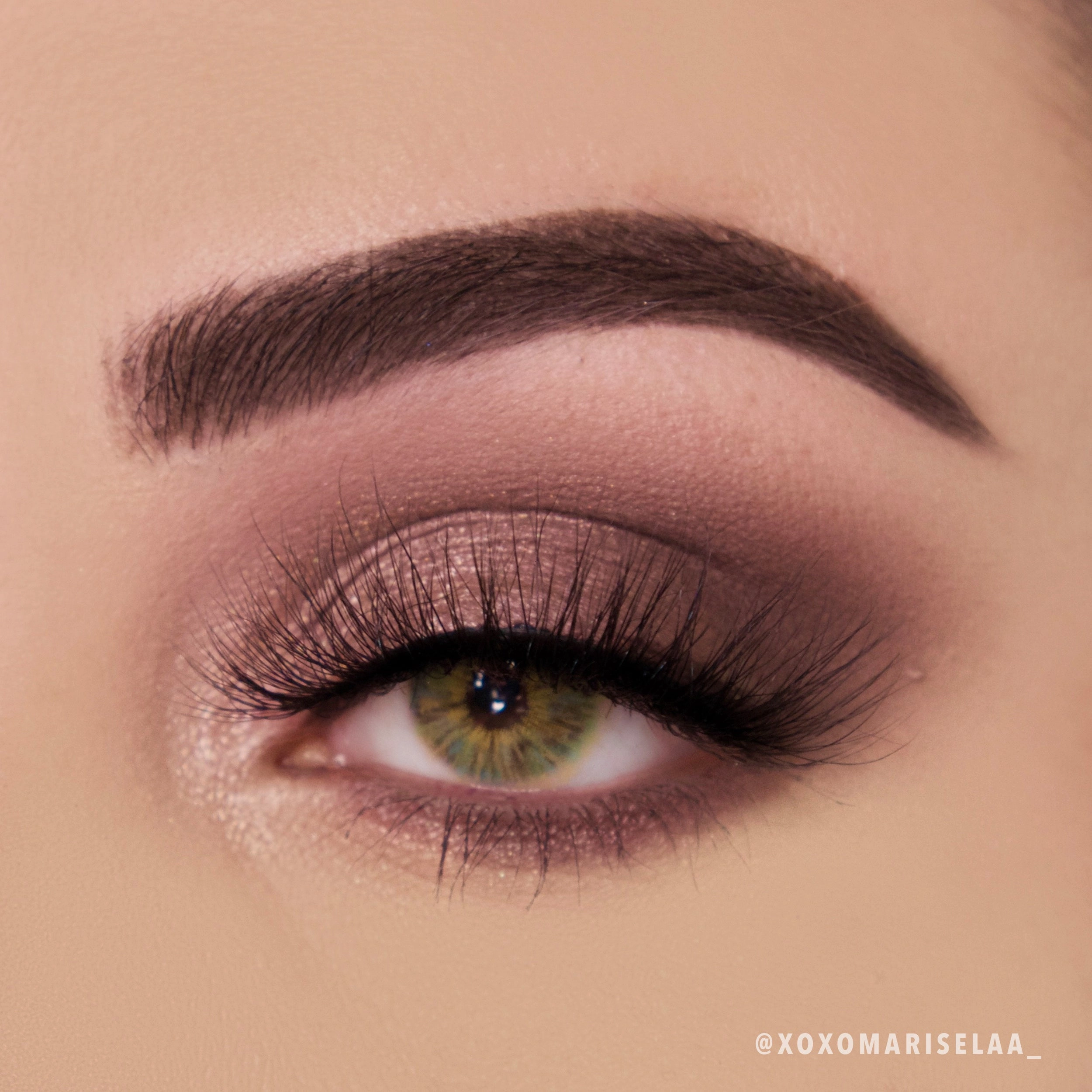 Wineberry Palette